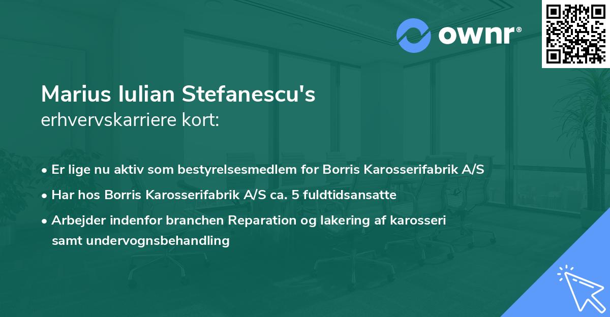 Marius Iulian Stefanescu's erhvervskarriere kort