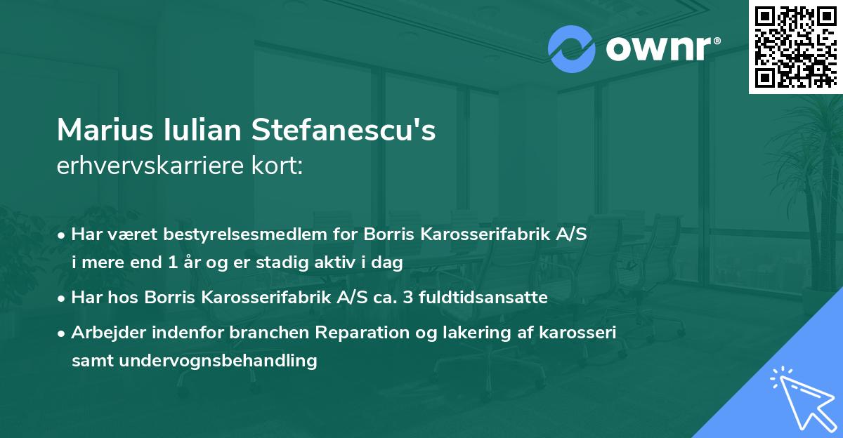 Marius Iulian Stefanescu's erhvervskarriere kort