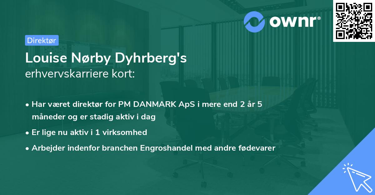Louise Nørby Dyhrberg's erhvervskarriere kort