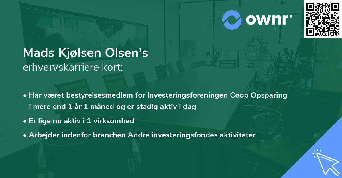 Mads Kjølsen Olsen's erhvervskarriere kort