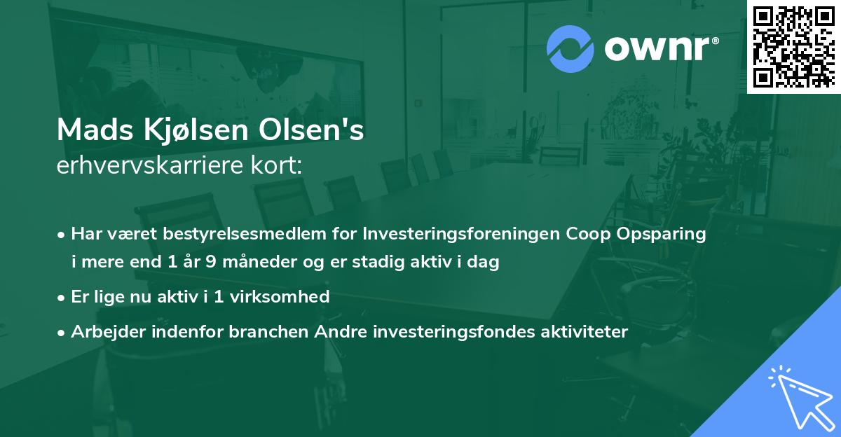 Mads Kjølsen Olsen's erhvervskarriere kort