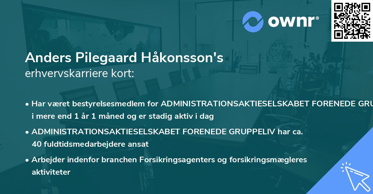 Anders Pilegaard Håkonsson's erhvervskarriere kort