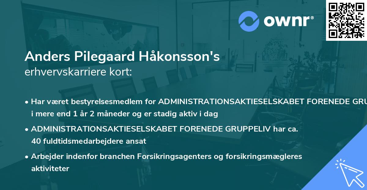 Anders Pilegaard Håkonsson's erhvervskarriere kort