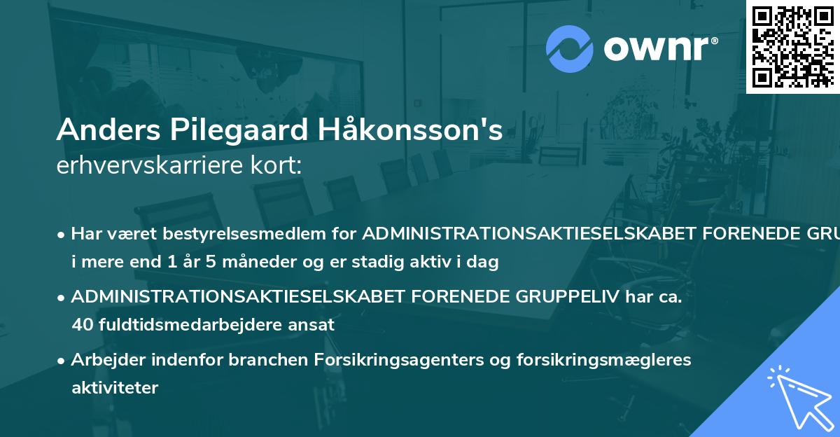 Anders Pilegaard Håkonsson's erhvervskarriere kort