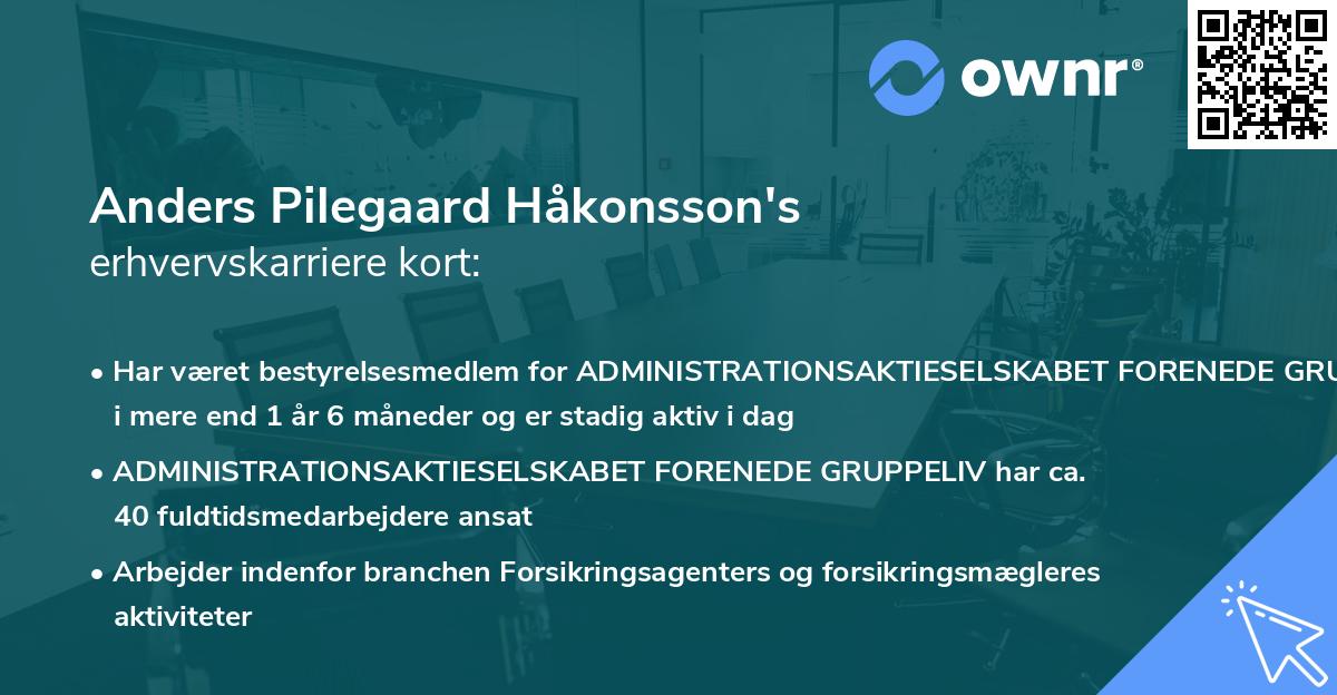 Anders Pilegaard Håkonsson's erhvervskarriere kort