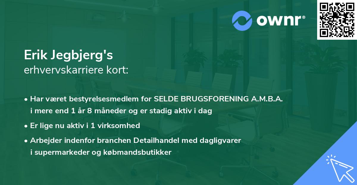 Erik Jegbjerg's erhvervskarriere kort