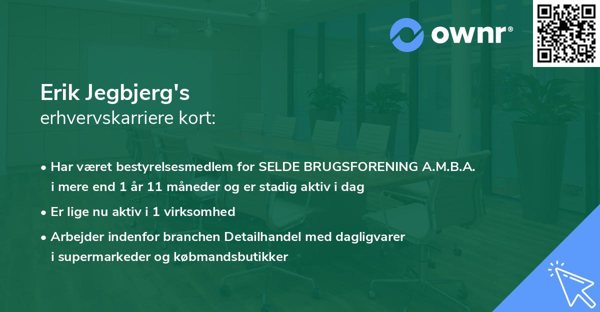 Erik Jegbjerg's erhvervskarriere kort