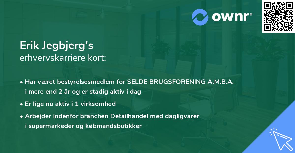 Erik Jegbjerg's erhvervskarriere kort