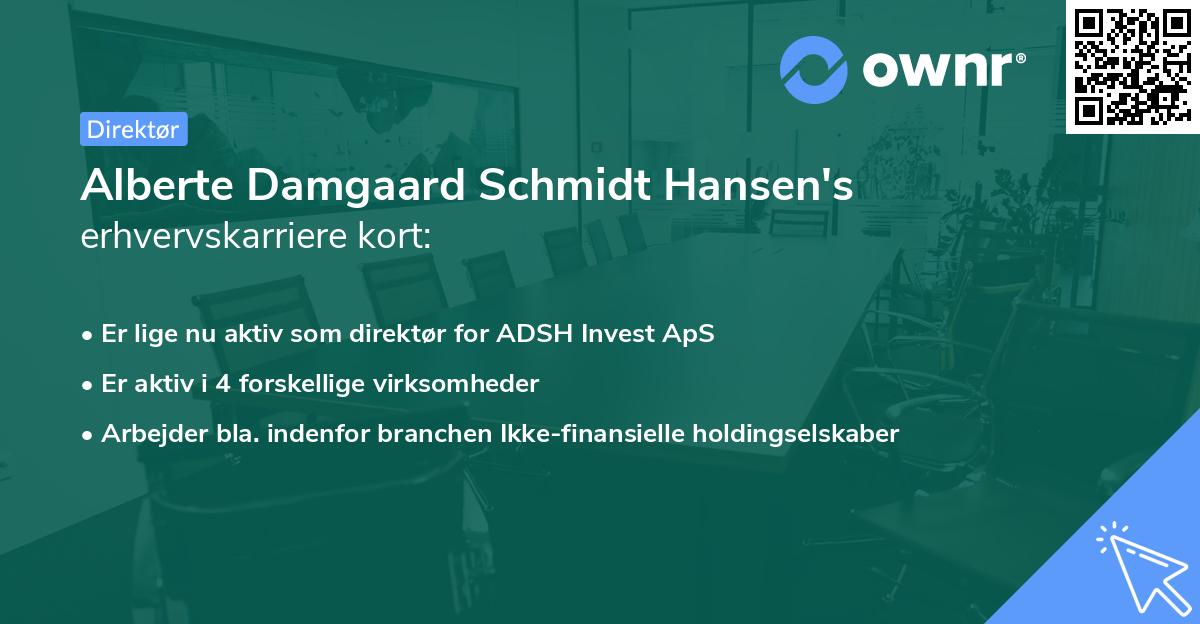 Alberte Damgaard Schmidt Hansen's erhvervskarriere kort