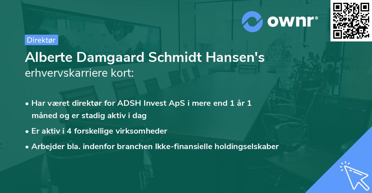 Alberte Damgaard Schmidt Hansen's erhvervskarriere kort