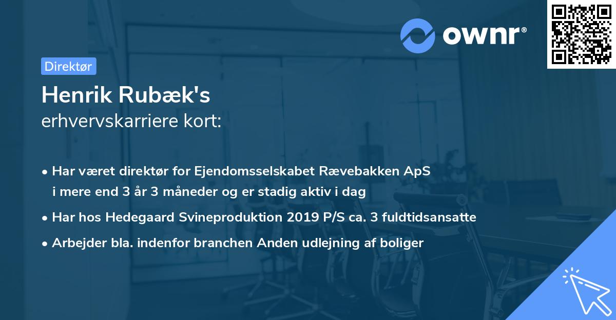 Henrik Rubæk's erhvervskarriere kort