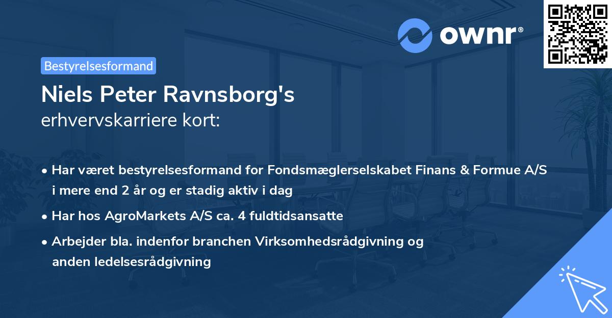 Niels Peter Ravnsborg's erhvervskarriere kort