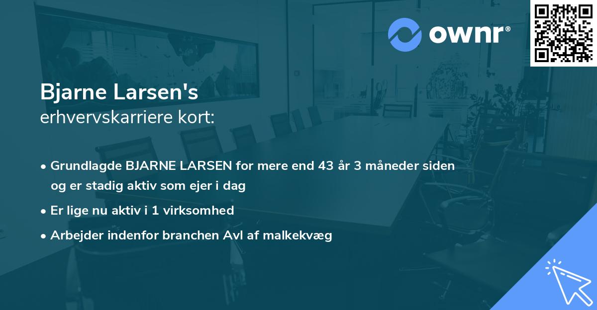 Bjarne Larsen's erhvervskarriere kort
