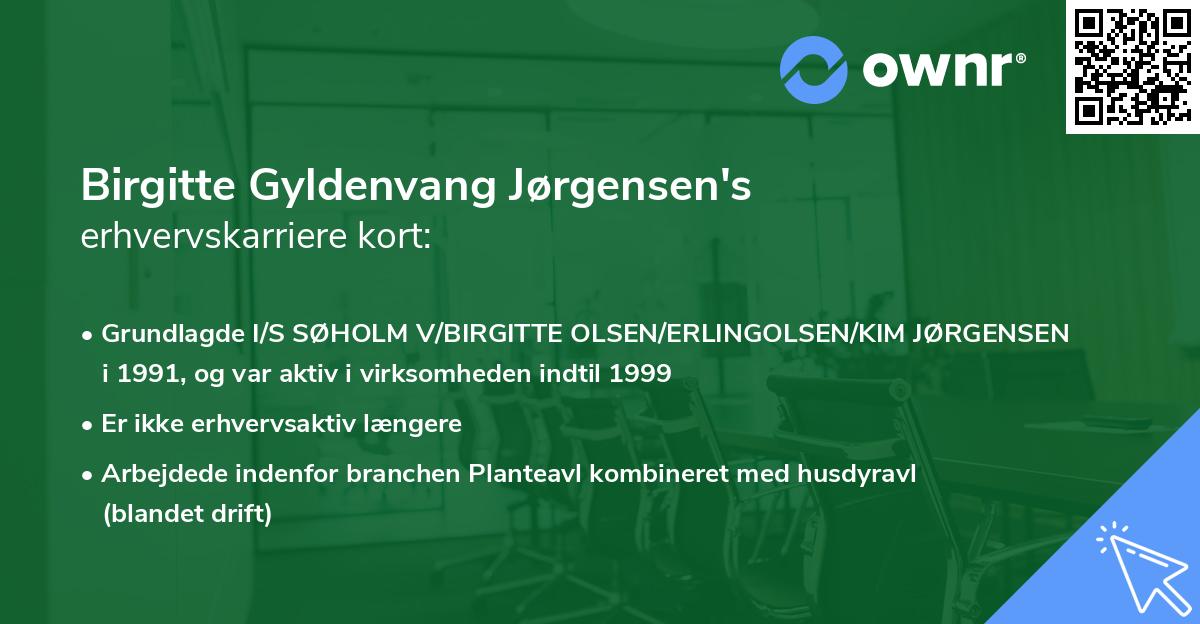 Birgitte Gyldenvang Jørgensen's erhvervskarriere kort