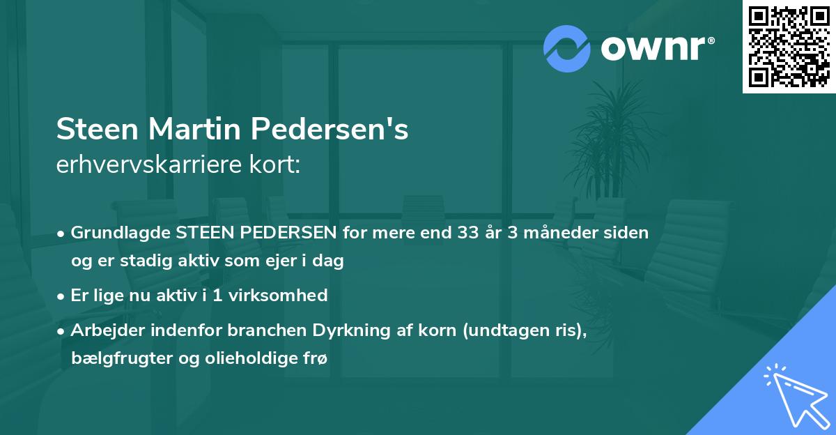 Steen Martin Pedersen's erhvervskarriere kort