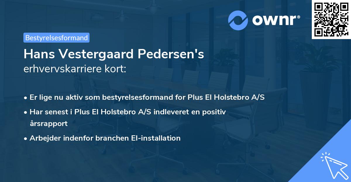 Hans Vestergaard Pedersen's erhvervskarriere kort