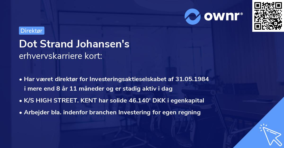 Dot Strand Johansen's erhvervskarriere kort