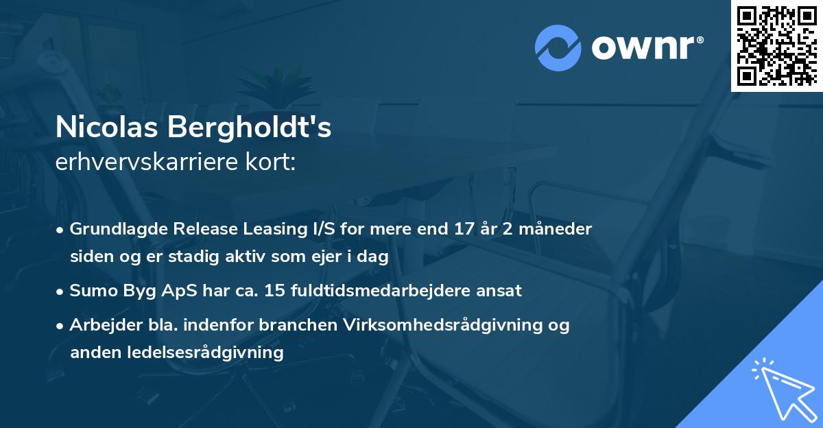 Nicolas Bergholdt's erhvervskarriere kort