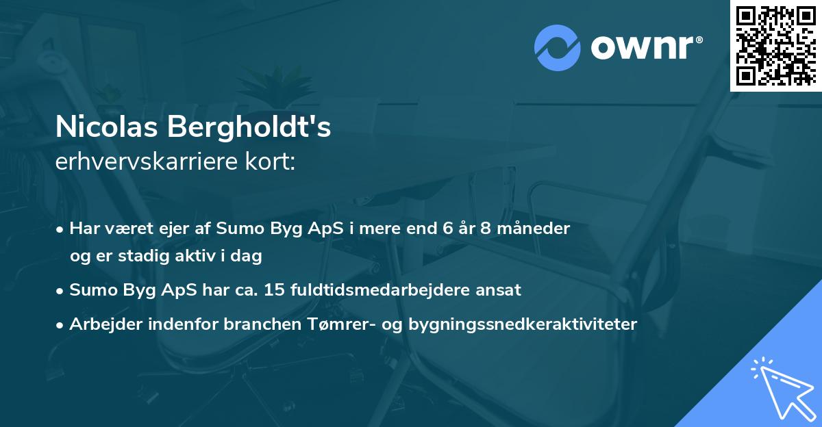 Nicolas Bergholdt's erhvervskarriere kort