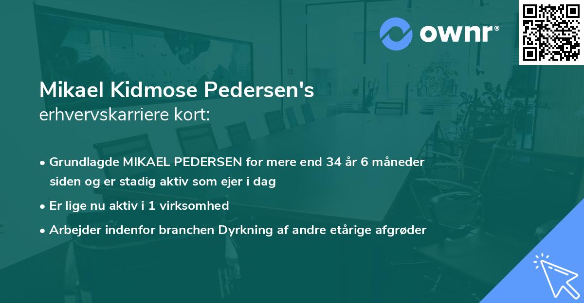 Mikael Kidmose Pedersen's erhvervskarriere kort