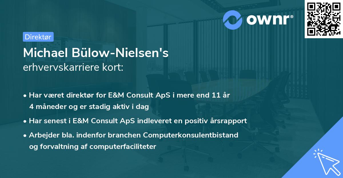 Michael Bülow-Nielsen's erhvervskarriere kort