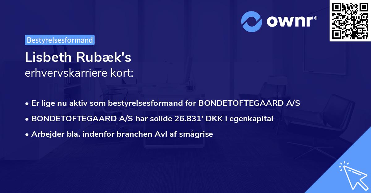 Lisbeth Rubæk's erhvervskarriere kort