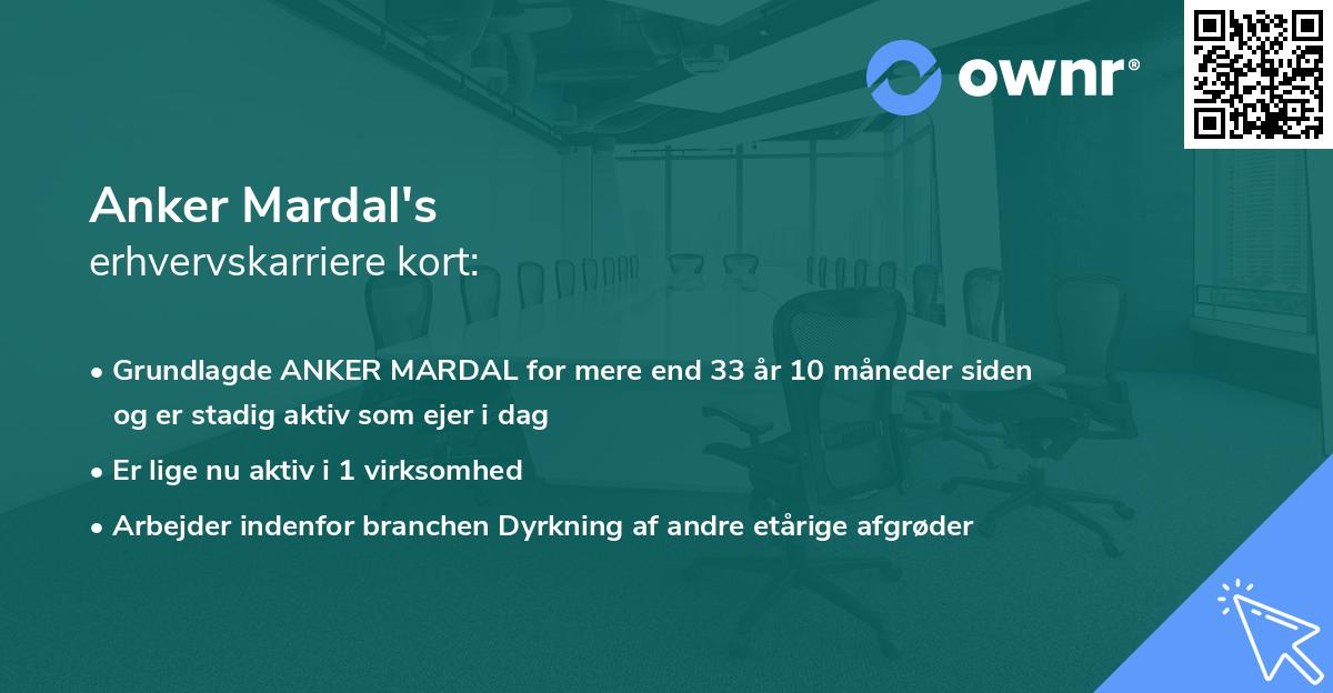 Anker Mardal's erhvervskarriere kort