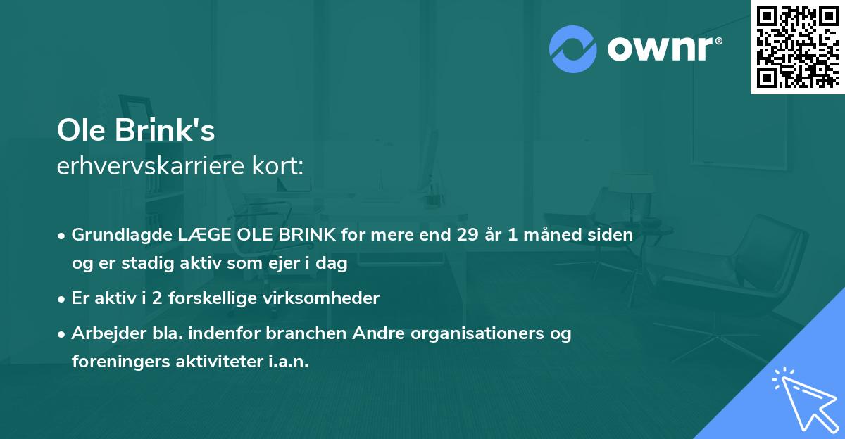 Ole Brink's erhvervskarriere kort