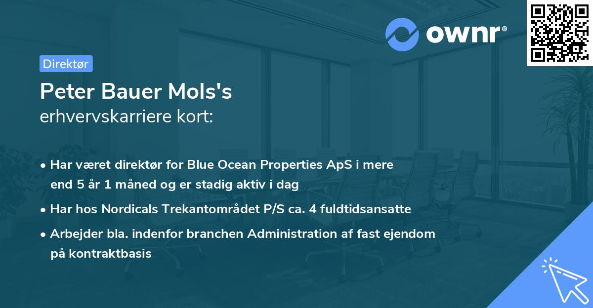 Peter Bauer Mols's erhvervskarriere kort