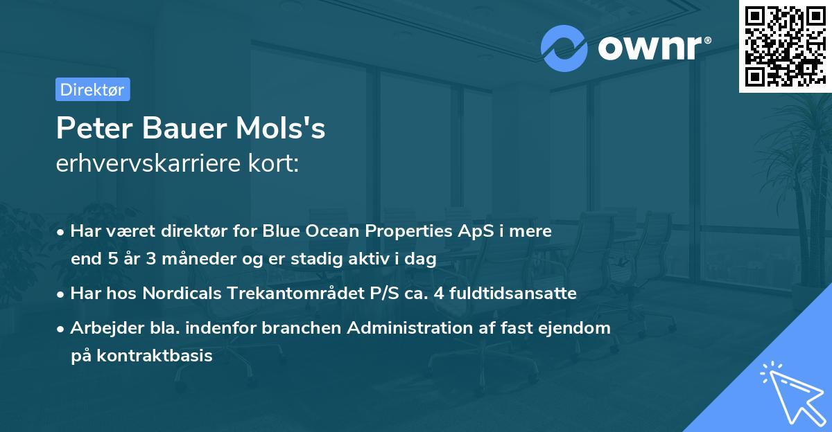 Peter Bauer Mols's erhvervskarriere kort
