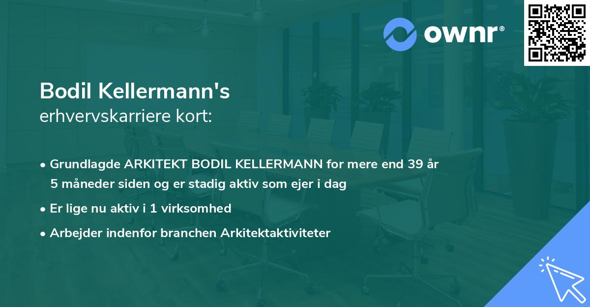 Bodil Kellermann's erhvervskarriere kort