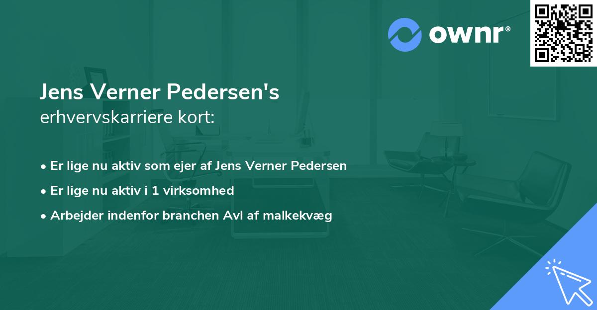 Jens Verner Pedersen's erhvervskarriere kort