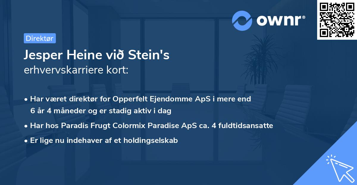 Jesper Heine við Stein's erhvervskarriere kort