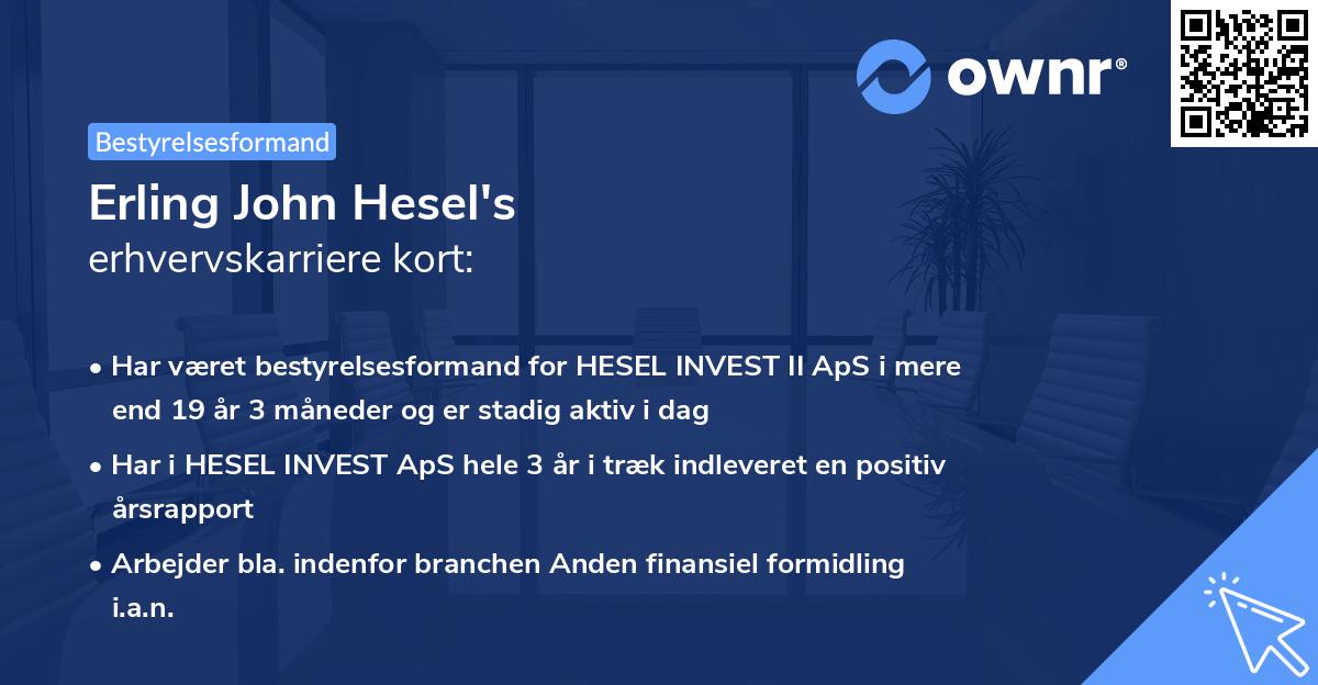 Erling John Hesel's erhvervskarriere kort