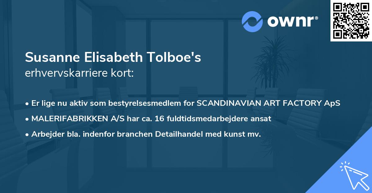 Susanne Elisabeth Tolboe's erhvervskarriere kort