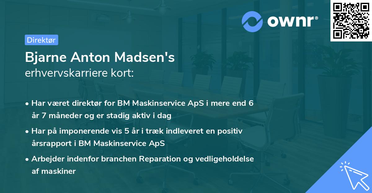 Bjarne Anton Madsen's erhvervskarriere kort