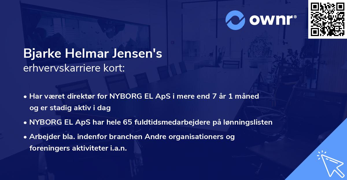 Bjarke Helmar Jensen's erhvervskarriere kort