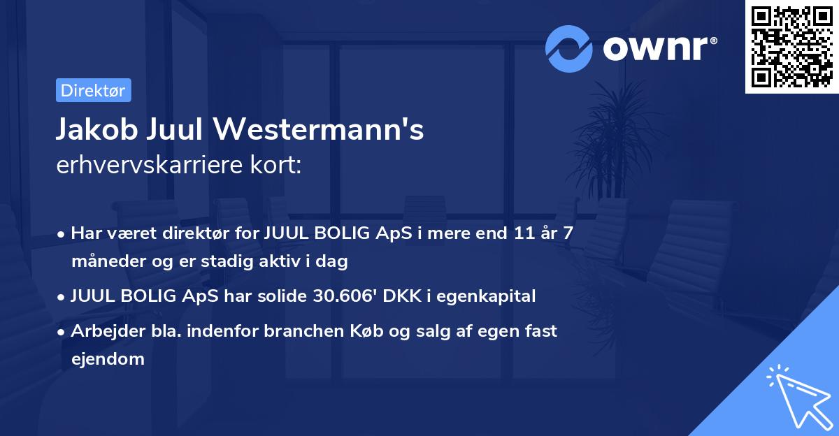 Jakob Juul Westermann's erhvervskarriere kort