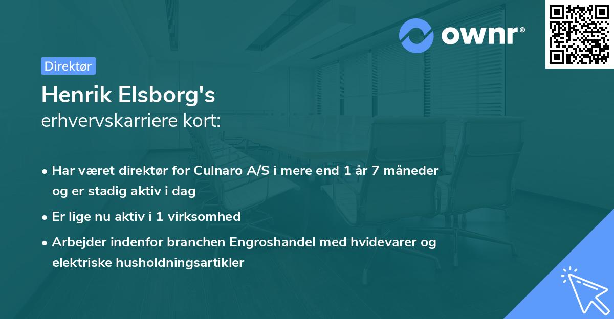 Henrik Elsborg's erhvervskarriere kort