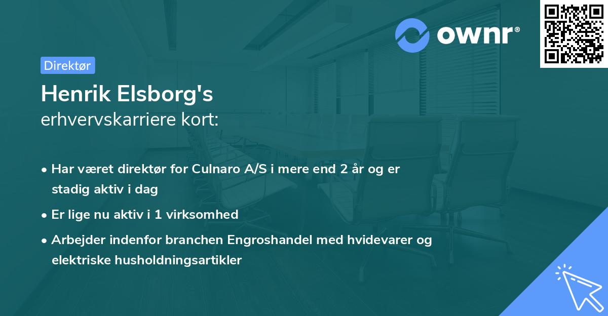 Henrik Elsborg's erhvervskarriere kort