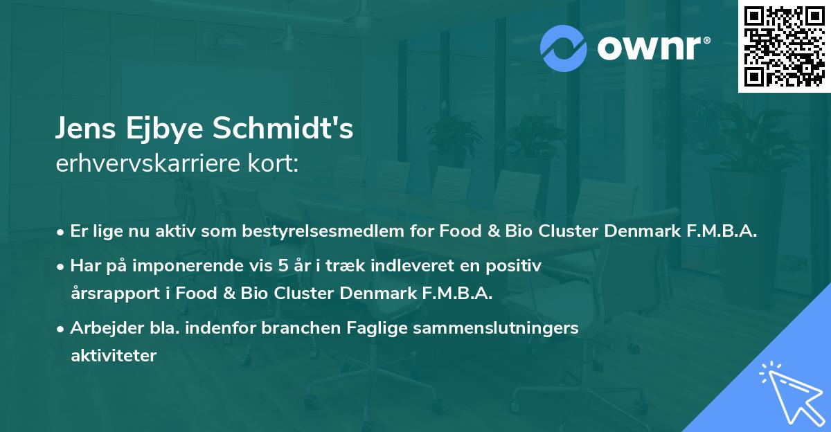 Jens Ejbye Schmidt's erhvervskarriere kort