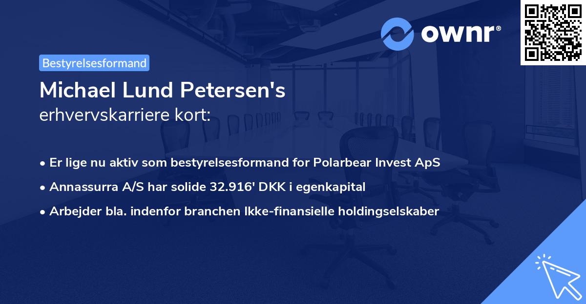 Michael Lund Petersen's erhvervskarriere kort