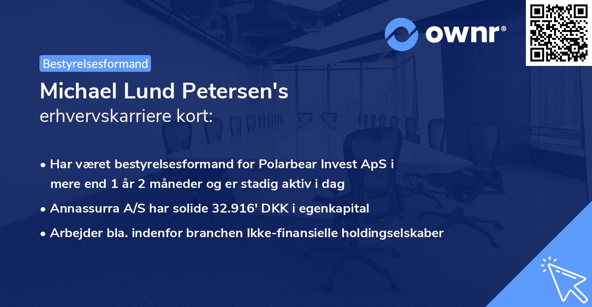 Michael Lund Petersen's erhvervskarriere kort