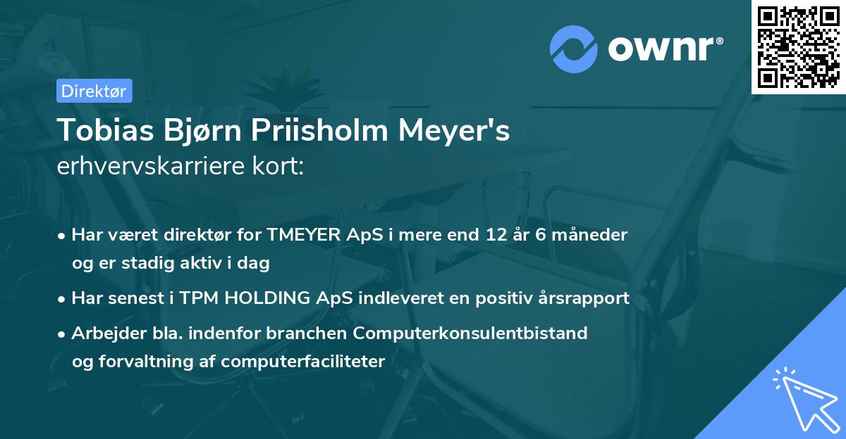 Tobias Bjørn Priisholm Meyer's erhvervskarriere kort