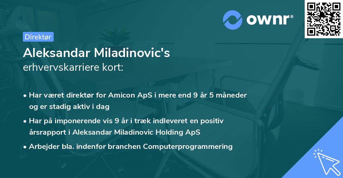 Aleksandar Miladinovic's erhvervskarriere kort