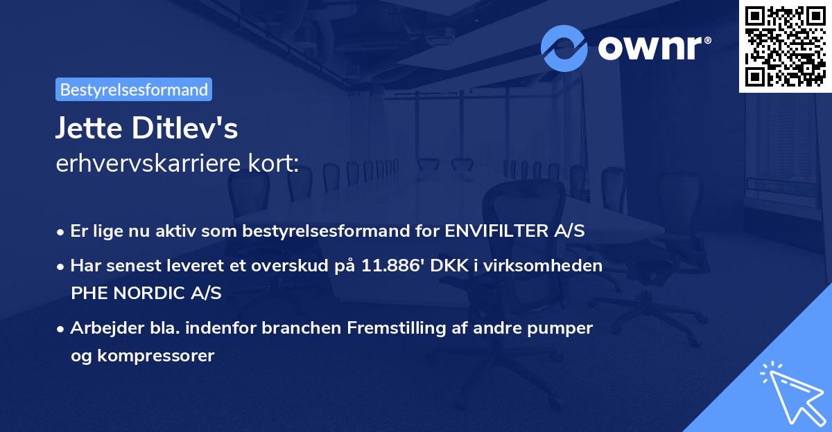 Jette Ditlev's erhvervskarriere kort