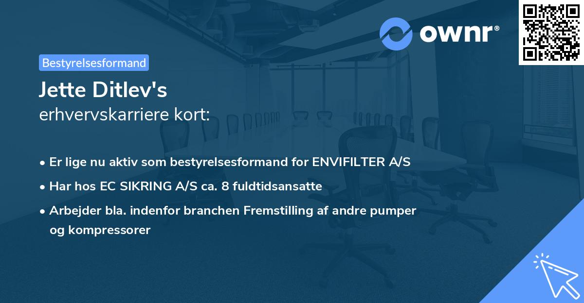 Jette Ditlev's erhvervskarriere kort