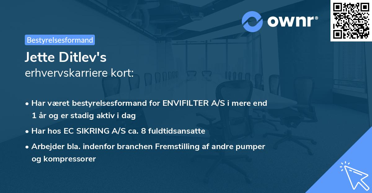 Jette Ditlev's erhvervskarriere kort