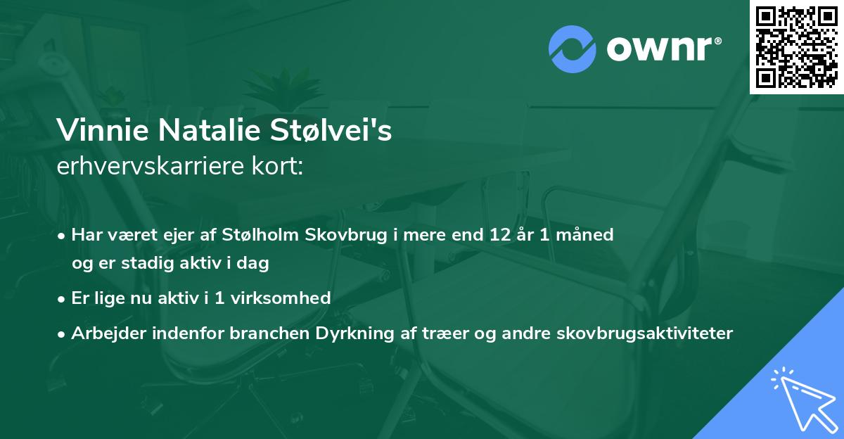 Vinnie Natalie Stølvei's erhvervskarriere kort