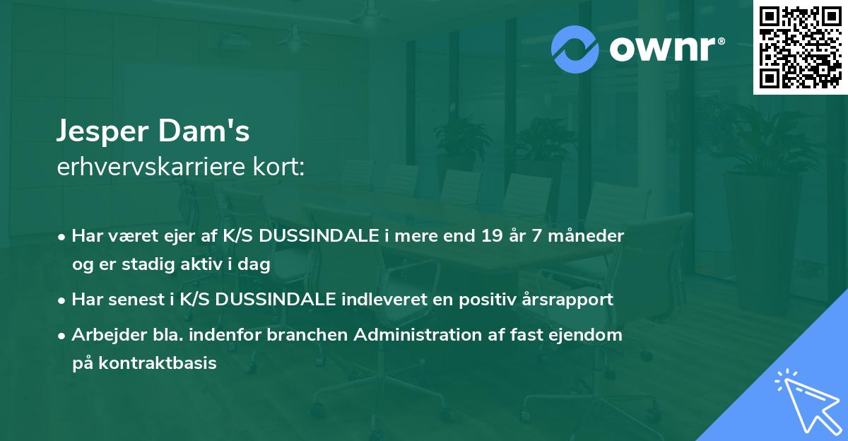 Jesper Dam's erhvervskarriere kort